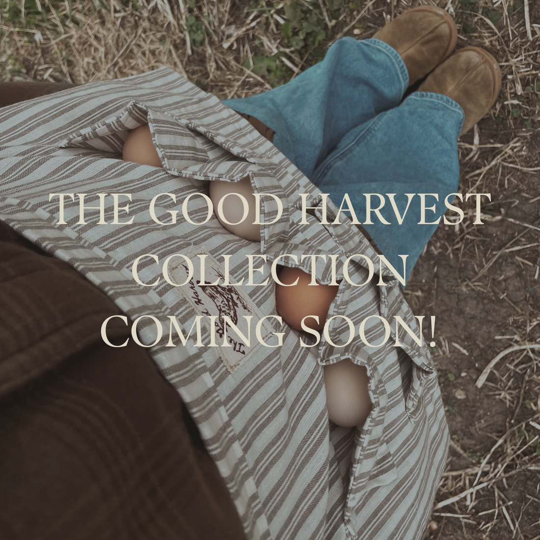 Here's To New Beginnings!